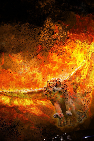 Phoenix